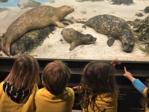 1191-1-768x614 1191-1-768x614