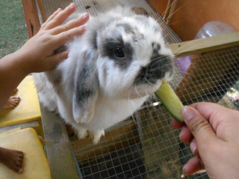 DSCN5486-768x576 DSCN5486-768x576