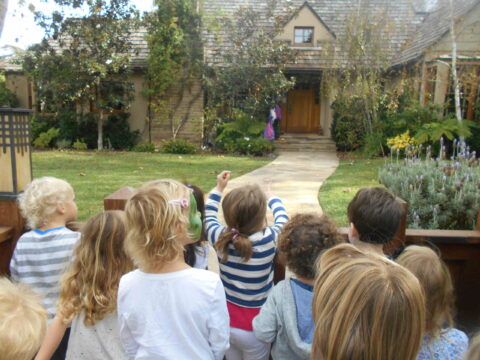 DSCN6311-1-1 DSCN6311-1-1