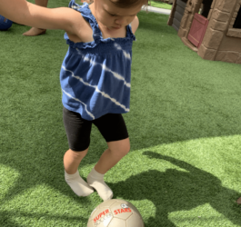 IMG_0040-Large IMG_0040-Large