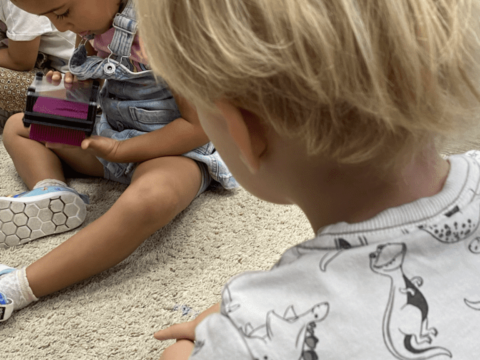 IMG_1575-Large-768x1024 IMG_1575-Large-768x1024