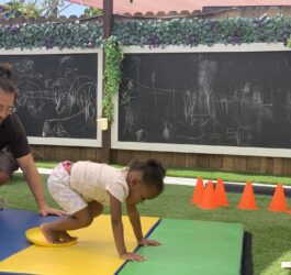 IMG_2038-1536x2048 IMG_2038-1536x2048