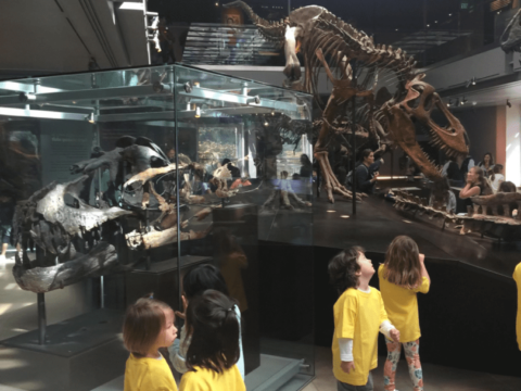 IMG_8707-Large IMG_8707-Large